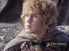 Merry, Lord of the Rings, Return of the King